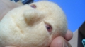 自作めんたま失敗の記録