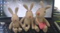 20100226143408