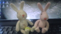 20100304162449