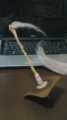 20100522211849
