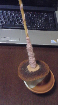 f:id:chafoo:20100522234000j:image:w160