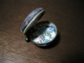 20130321123117
