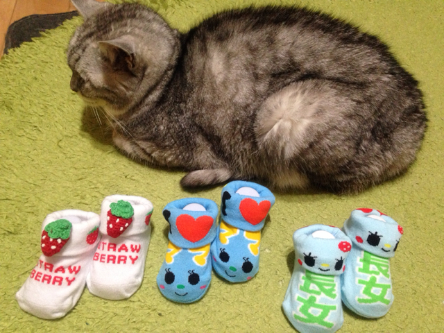 f:id:chageshizu:20150909233931j:image:w360