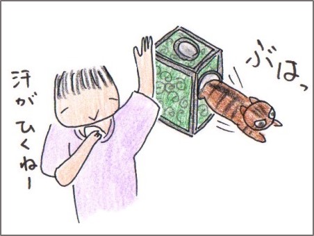 f:id:chai-ko:20160702200714j:plain