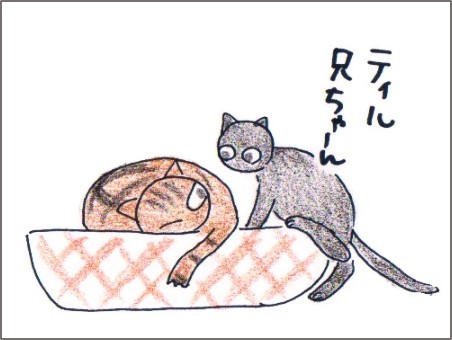 f:id:chai-ko:20161011185105j:plain