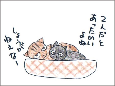 f:id:chai-ko:20161011185107j:plain