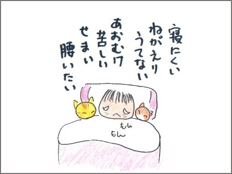 f:id:chai-ko:20161113121807j:plain