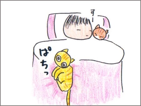 f:id:chai-ko:20161113121814j:plain