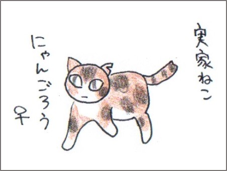 f:id:chai-ko:20161127130355j:plain