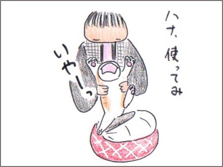 f:id:chai-ko:20170124194806j:plain