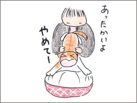 f:id:chai-ko:20170124194809j:plain