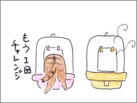 f:id:chai-ko:20170129224635j:plain