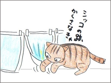 f:id:chai-ko:20170207193856j:plain