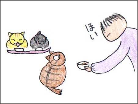 f:id:chai-ko:20170418194807j:plain