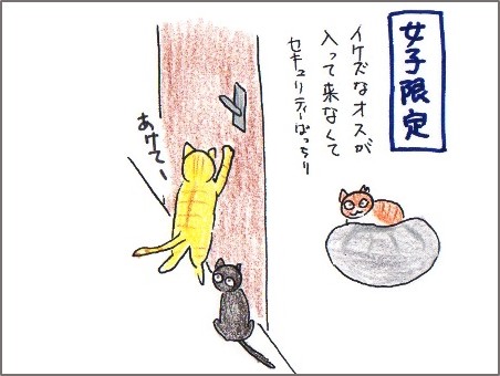 f:id:chai-ko:20170422220653j:plain