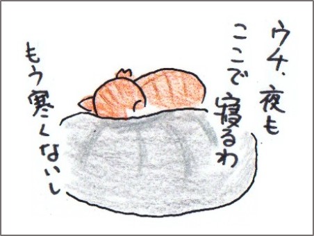 f:id:chai-ko:20170422220658j:plain