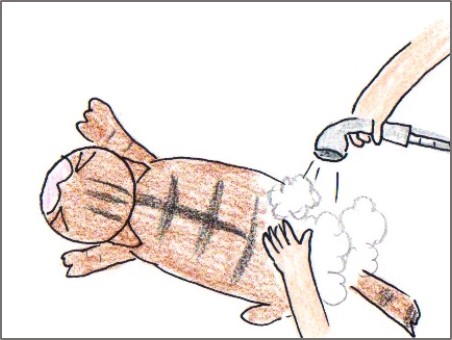 f:id:chai-ko:20170520162002j:plain f:id:chai-ko:20170520162002j:plain