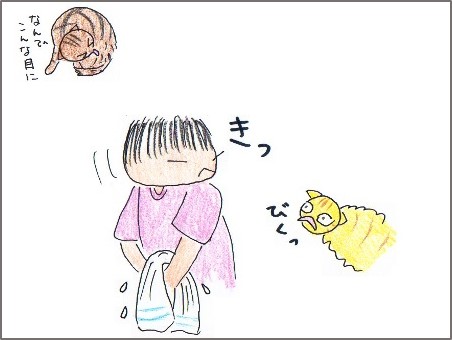 f:id:chai-ko:20170520162006j:plain f:id:chai-ko:20170520162006j:plain