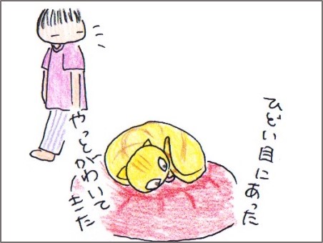 f:id:chai-ko:20170520162018j:plain f:id:chai-ko:20170520162018j:plain