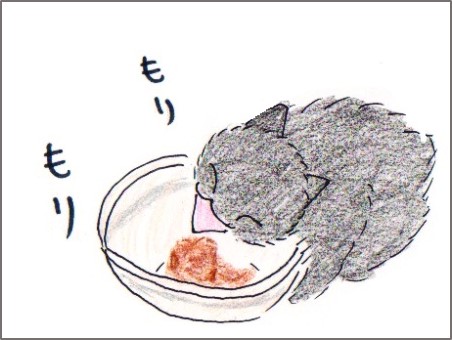 f:id:chai-ko:20170602180349j:plain