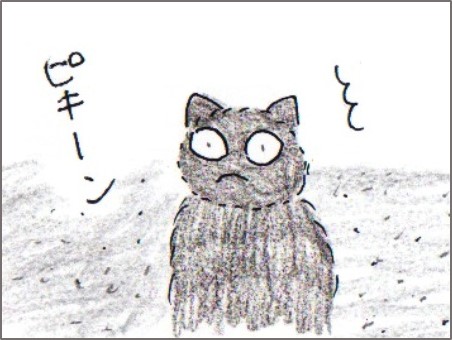 f:id:chai-ko:20170604194248j:plain