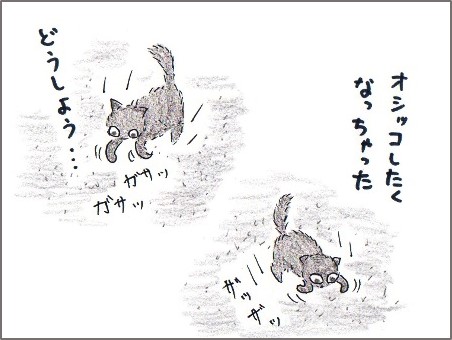 f:id:chai-ko:20170604194251j:plain