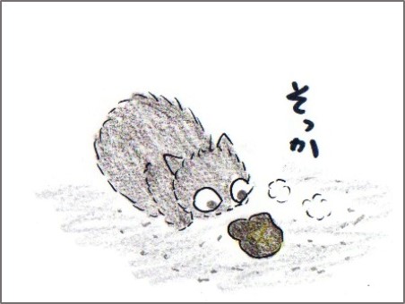 f:id:chai-ko:20170604194259j:plain