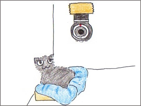 f:id:chai-ko:20170617200414j:plain