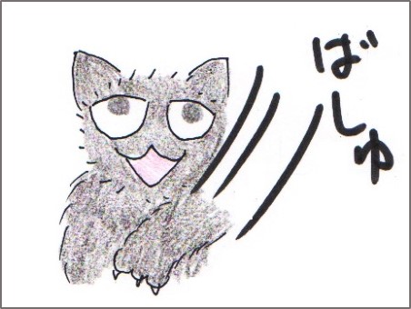 f:id:chai-ko:20170617201025j:plain