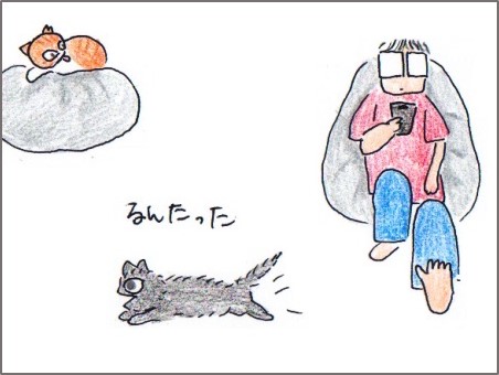 f:id:chai-ko:20170619193822j:plain