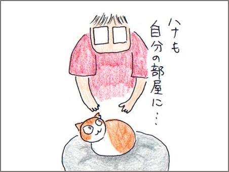 f:id:chai-ko:20170619193829j:plain