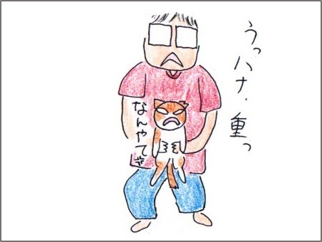 f:id:chai-ko:20170619193831j:plain