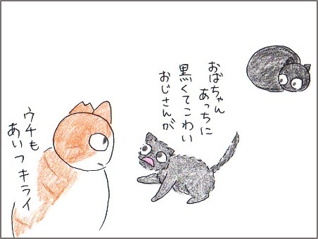 f:id:chai-ko:20170623194018j:plain
