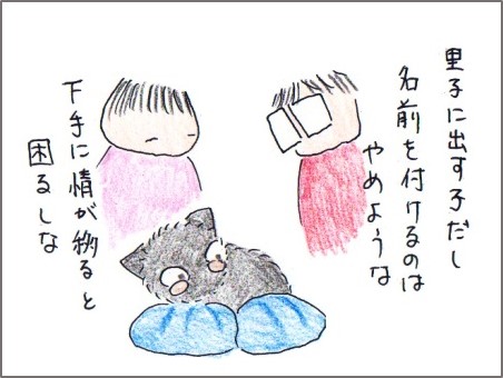f:id:chai-ko:20170624211409j:plain