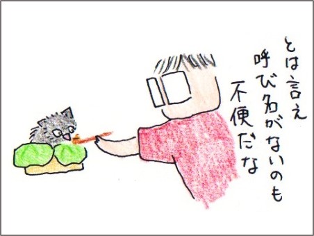 f:id:chai-ko:20170624211412j:plain
