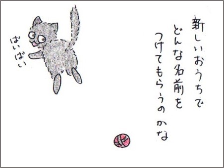 f:id:chai-ko:20170624211418j:plain