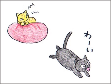 f:id:chai-ko:20170707203343j:plain