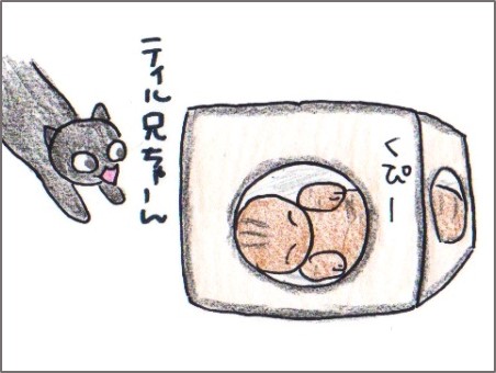 f:id:chai-ko:20170707203346j:plain