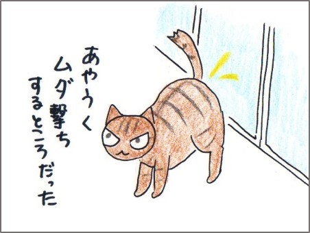 f:id:chai-ko:20170717194351j:plain