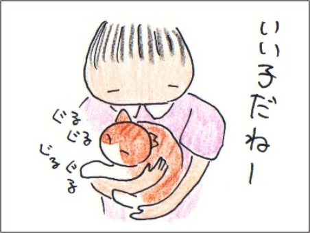 f:id:chai-ko:20170928201325j:plain
