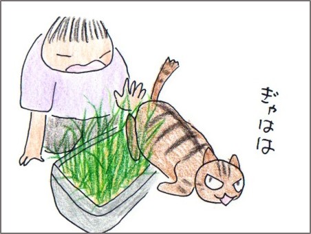 f:id:chai-ko:20171011192501j:plain