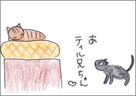 f:id:chai-ko:20171019212750j:plain