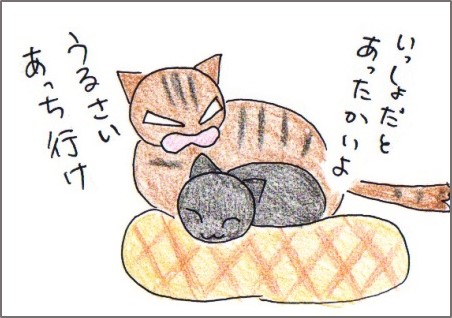 f:id:chai-ko:20171019212755j:plain