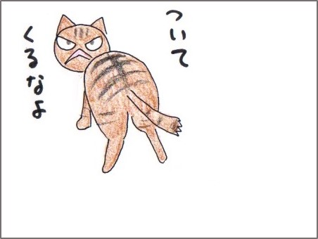 f:id:chai-ko:20171019212759j:plain