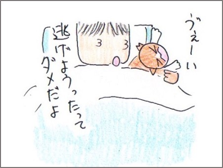 f:id:chai-ko:20171125203011j:plain