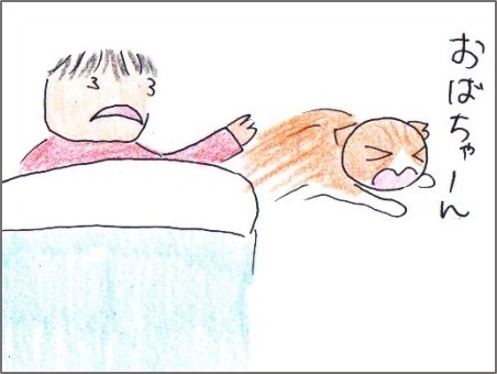 f:id:chai-ko:20171125203015j:plain