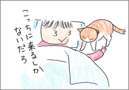 f:id:chai-ko:20171125203020j:plain