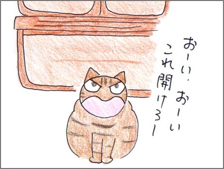 f:id:chai-ko:20171127195720j:plain