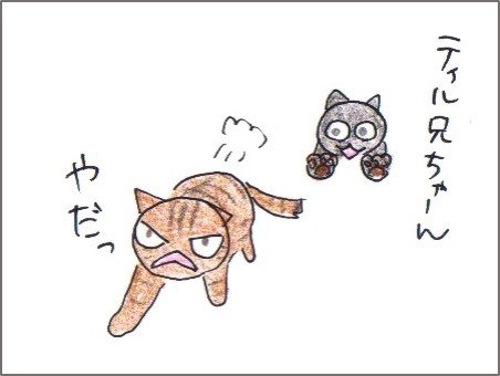 f:id:chai-ko:20171128201733j:plain