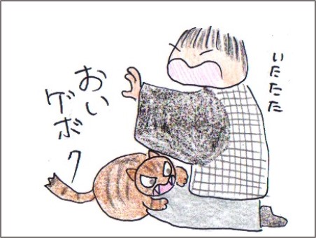 f:id:chai-ko:20171128201736j:plain